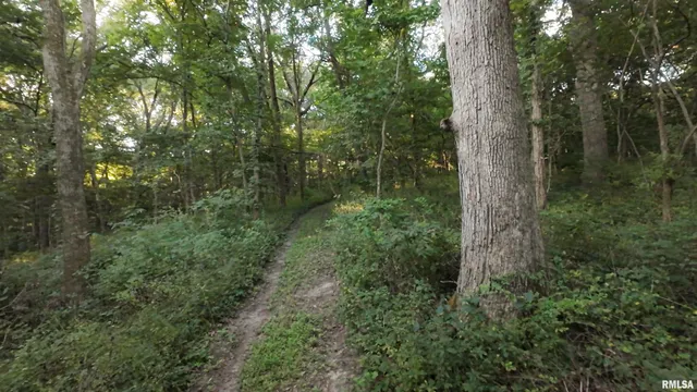 $2,600,000 | 0 East 1450 Road, Dahinda, IL 61428