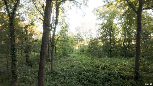 $2,600,000 | 0 East 1450 Road, Dahinda, IL 61428