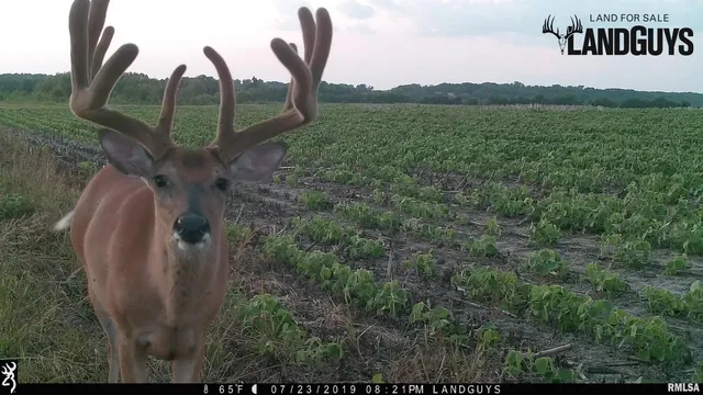 $2,600,000 | 0 East 1450 Road, Dahinda, IL 61428