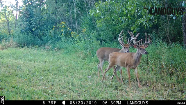 $2,600,000 | 0 East 1450 Road, Dahinda, IL 61428