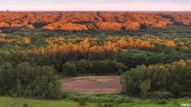 $2,600,000 | 0 East 1450 Road, Dahinda, IL 61428