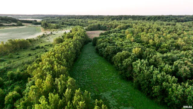 $2,600,000 | 0 East 1450 Road, Dahinda, IL 61428