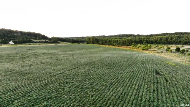 $2,600,000 | 0 East 1450 Road, Dahinda, IL 61428