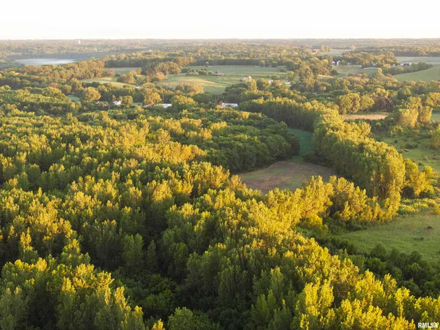 $2,600,000 | 0 East 1450 Road, Dahinda, IL 61428