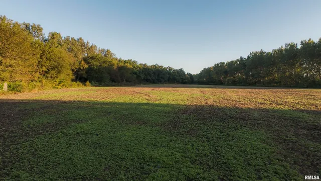 $2,600,000 | 0 East 1450 Road, Dahinda, IL 61428