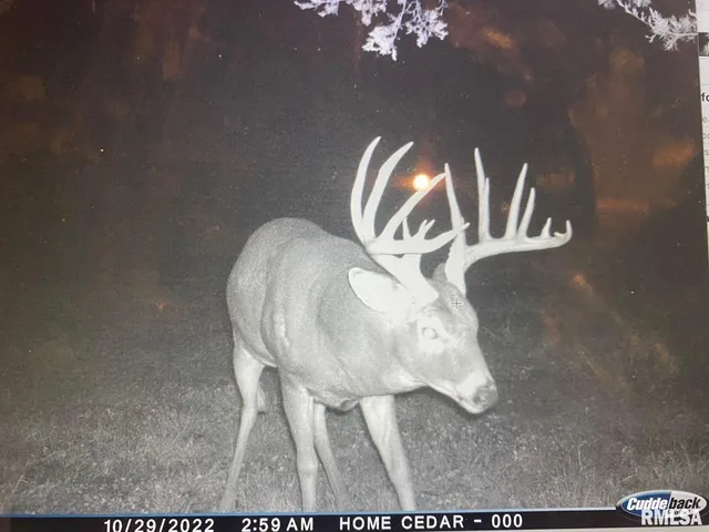 $2,600,000 | 0 East 1450 Road, Dahinda, IL 61428