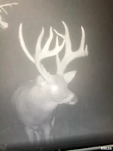 $2,600,000 | 0 East 1450 Road, Dahinda, IL 61428