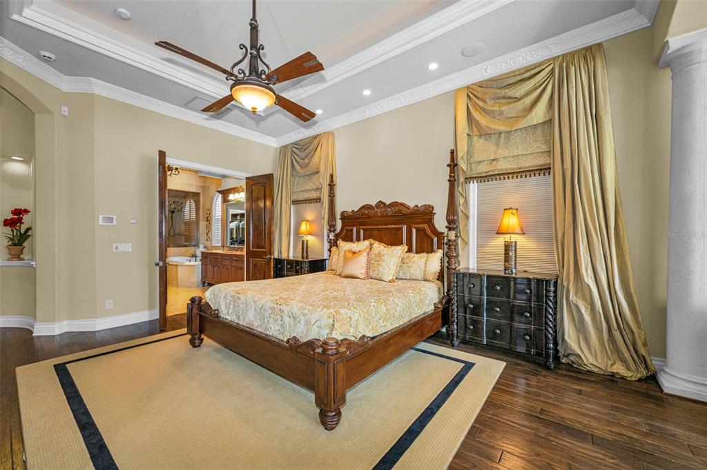 10031 Milano Drive Trinity, FL 34655 - Photo 44 of 100
