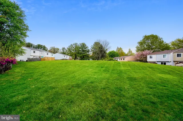 a view of a house with a big yard potted plants and large tree