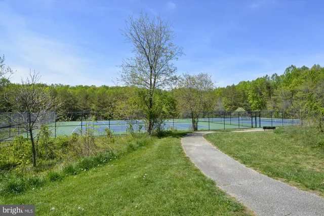 a view of a back yard