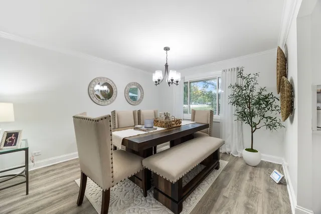 a living room with furniture a window and a potted plant