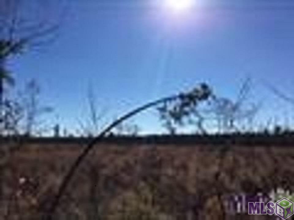 T1-t3 Palmer Road Livingston, LA 70754 - Photo 3 of 4 Gallery Image 3
