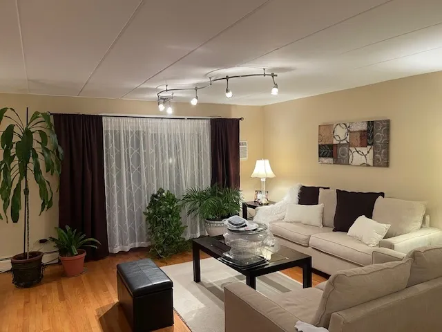 a living room with furniture potted plant and a window