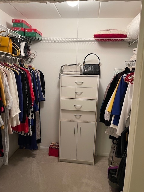 158 East Bailey Road, Unit F Naperville, IL 60565 - Photo 8 of 11 a view of walk in closet with clothes and shoes