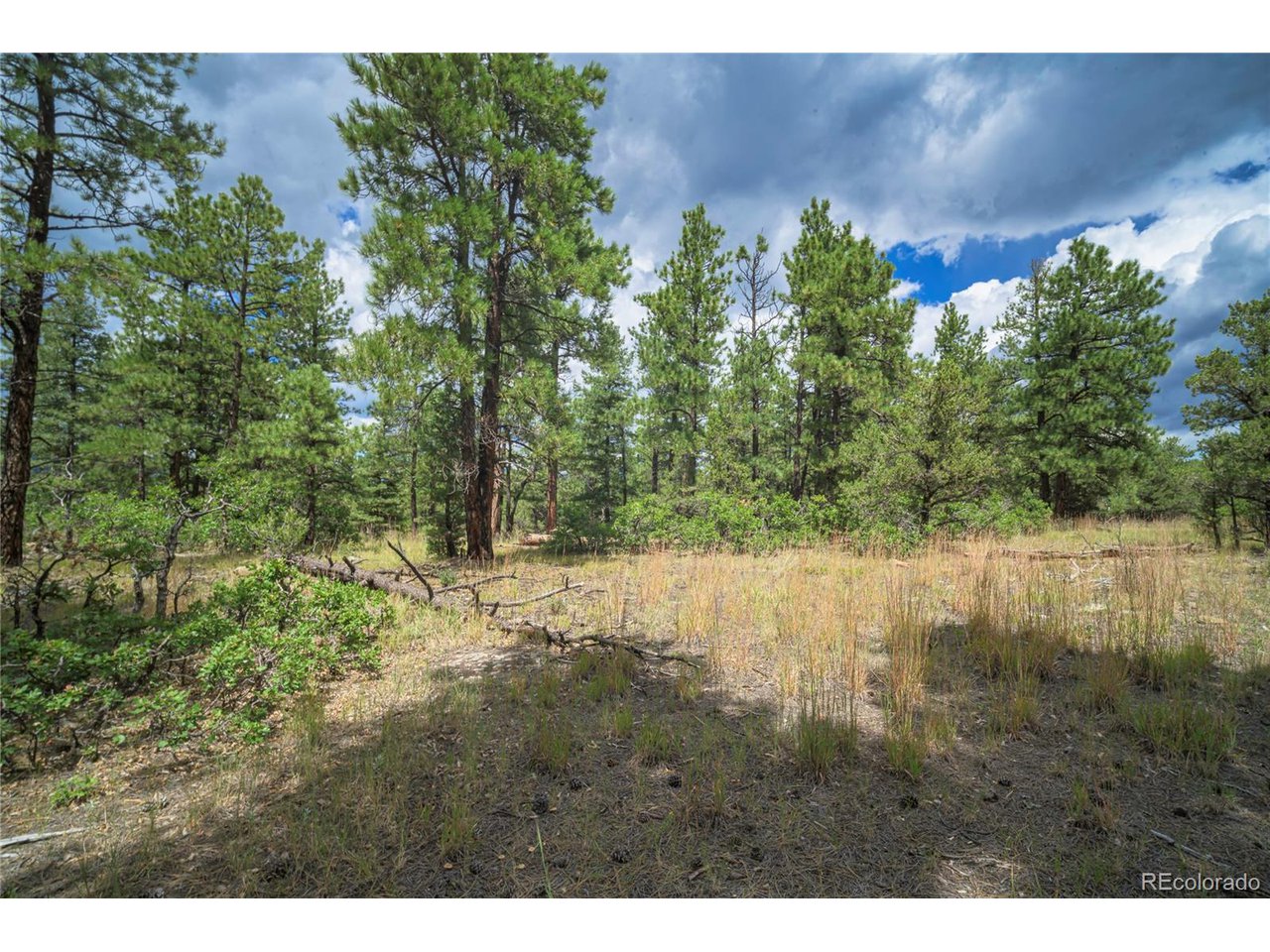 Escondido Road Weston, CO 81091 - Photo 22 of 48 Gallery Image 22