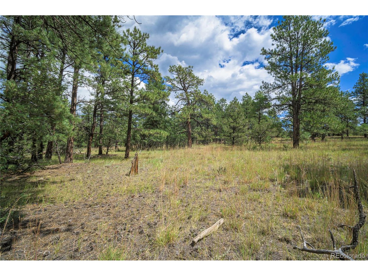 Escondido Road Weston, CO 81091 - Photo 29 of 48 Gallery Image 29