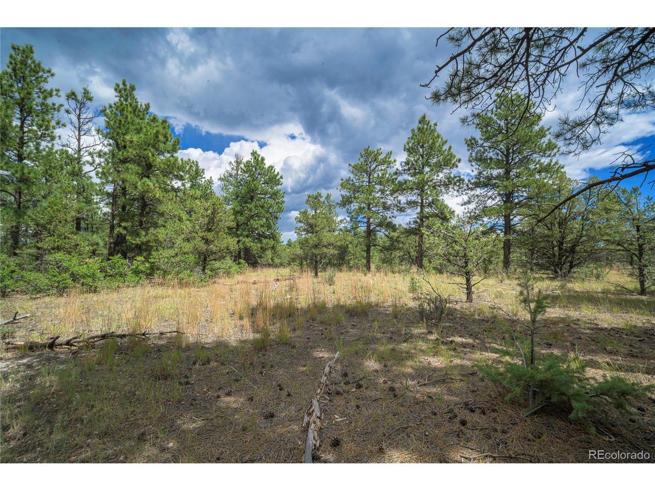 Escondido Road Weston, CO 81091 - Photo 33 of 48 Gallery Image 33