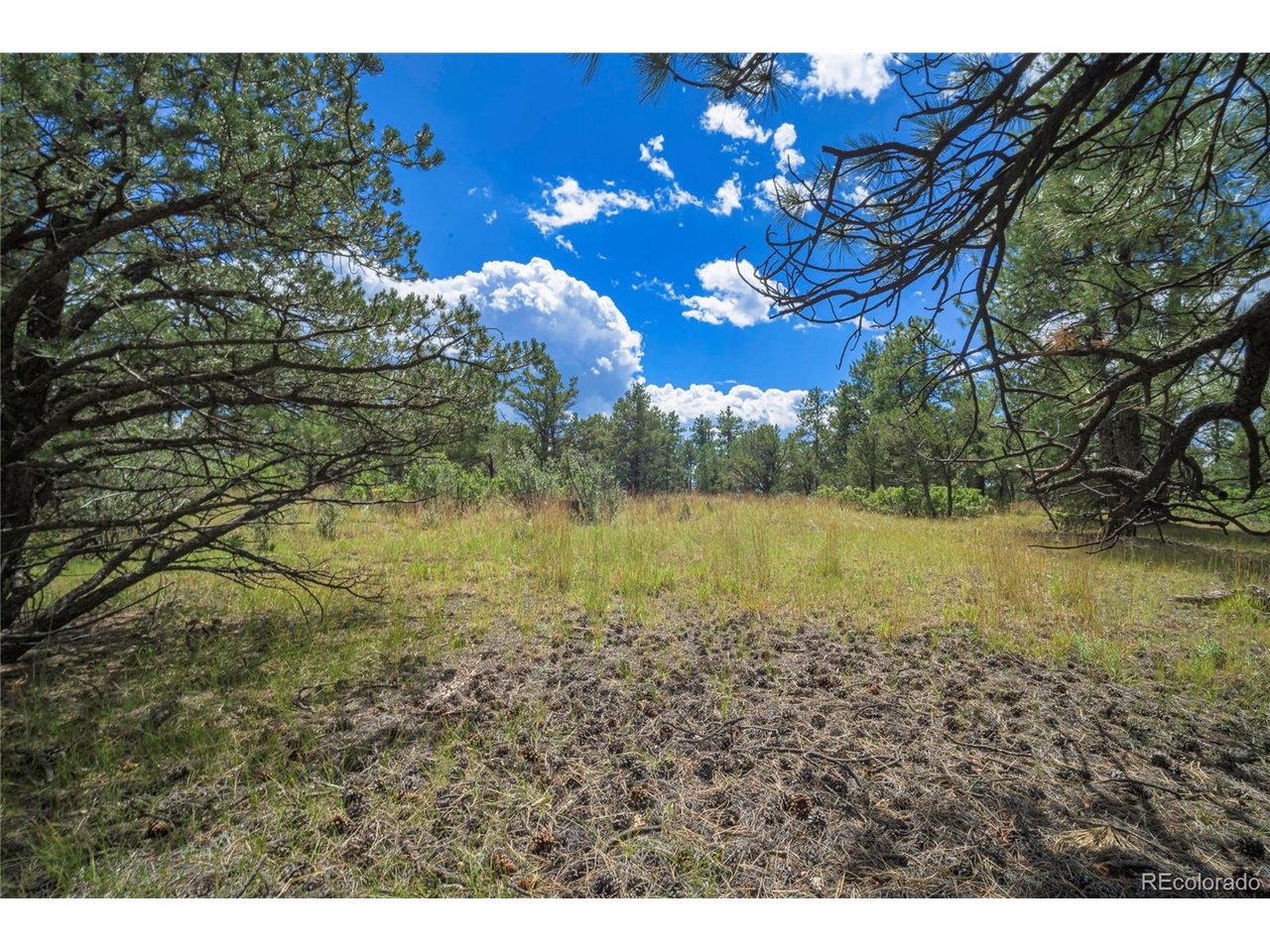 Escondido Road Weston, CO 81091 - Photo 35 of 48 Gallery Image 35