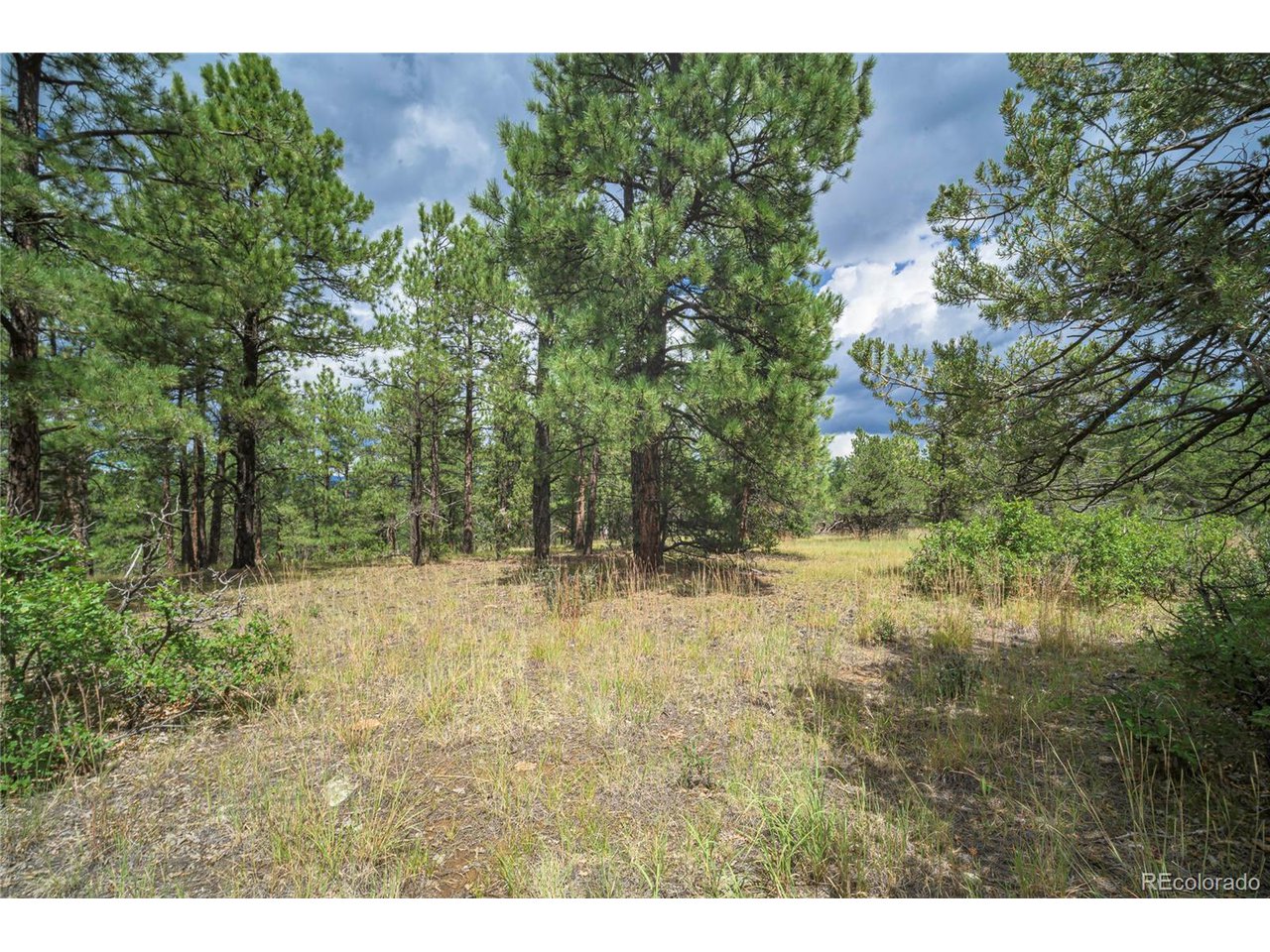 Escondido Road Weston, CO 81091 - Photo 41 of 48 Gallery Image 41