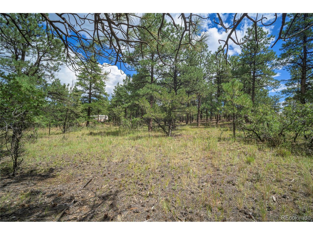 Escondido Road Weston, CO 81091 - Photo 46 of 48 Gallery Image 46