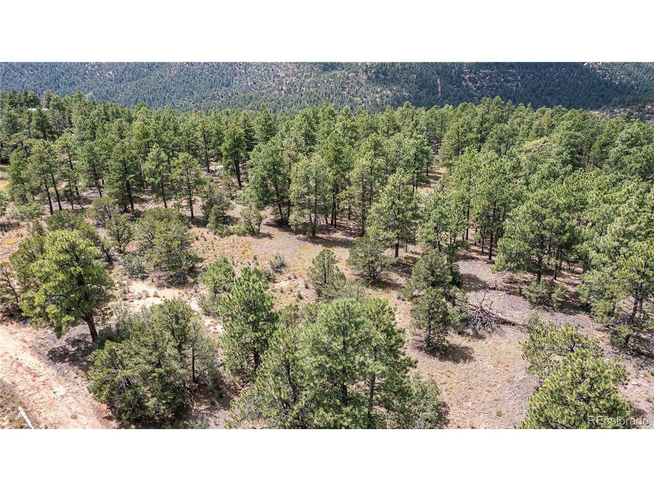 Escondido Road Weston, CO 81091 - Photo 48 of 48 Gallery Image 48