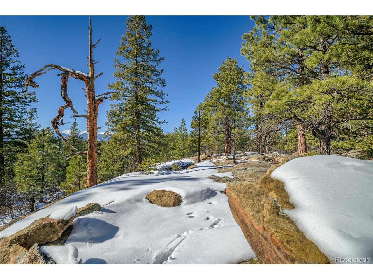 Escondido Road Weston, CO 81091 - Photo 7 of 48 Gallery Image 7
