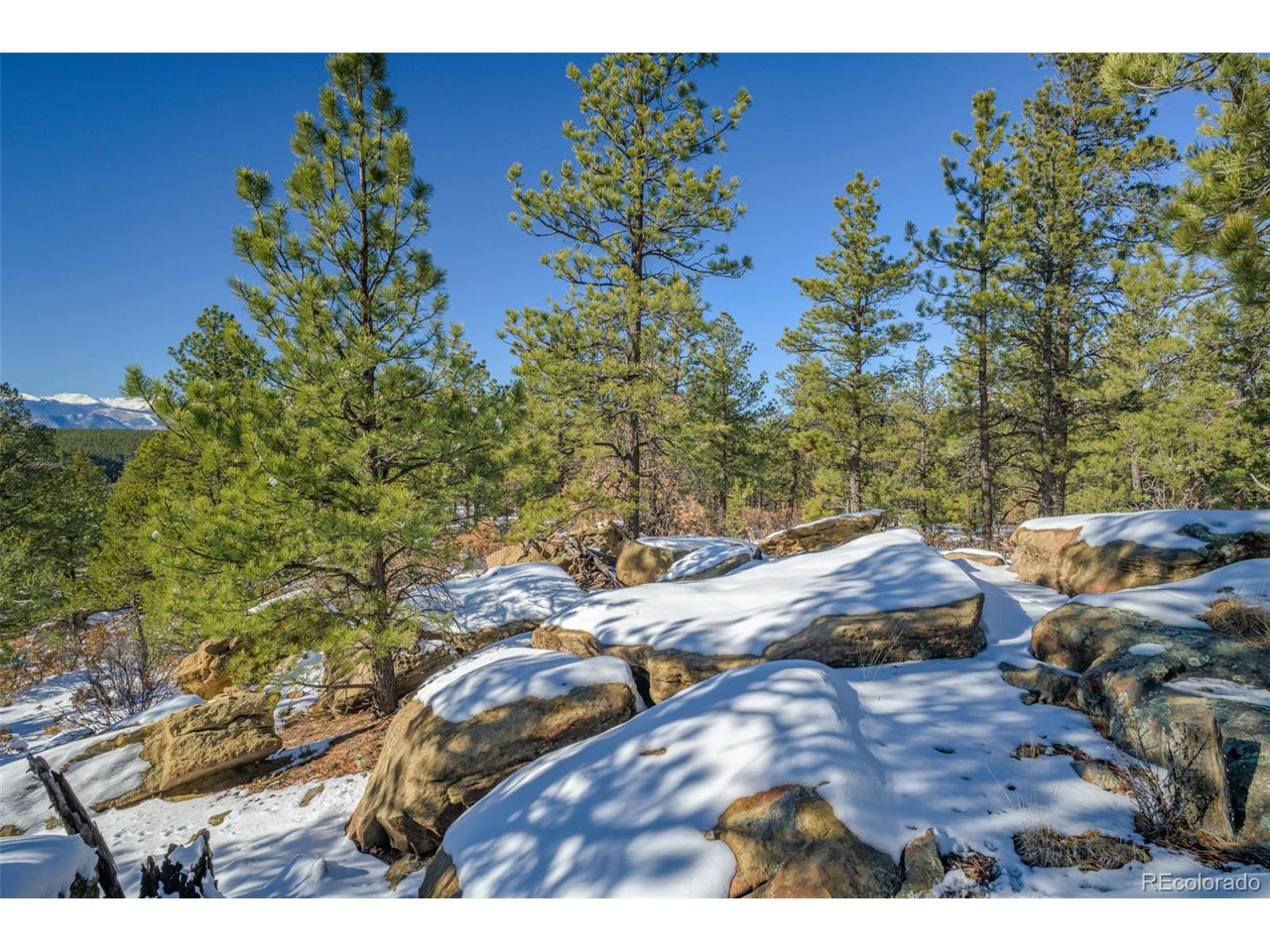 Escondido Road Weston, CO 81091 - Photo 9 of 48 Gallery Image 9
