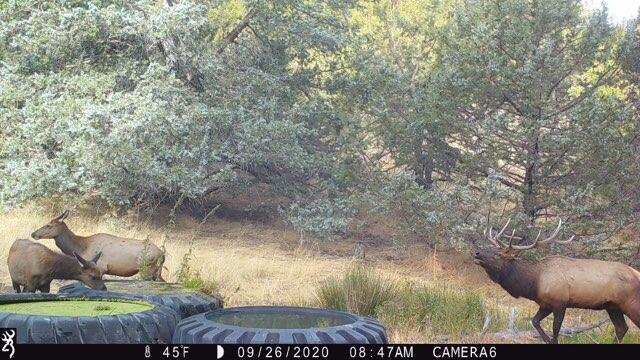 N/a Haycreek Road Madras, OR 97741 - Photo 21 of 28 vmatxsls06_1306777879080-4-3