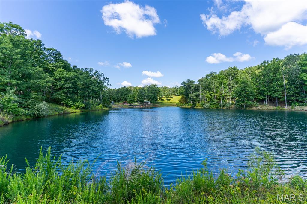 10450 Ok Road Bonne Terre, MO 63628 - Photo 5 of 93