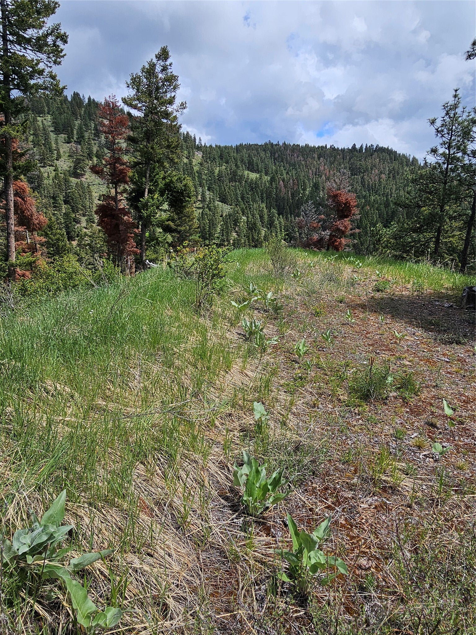 18866 Copper Rdg Trail Florence, MT 59833 - Photo 76 of 139 Gallery Image 76