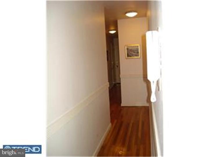383 Lakeside Road, Unit 206 Ardmore, PA 19003 - Photo 7 of 8 Hallway