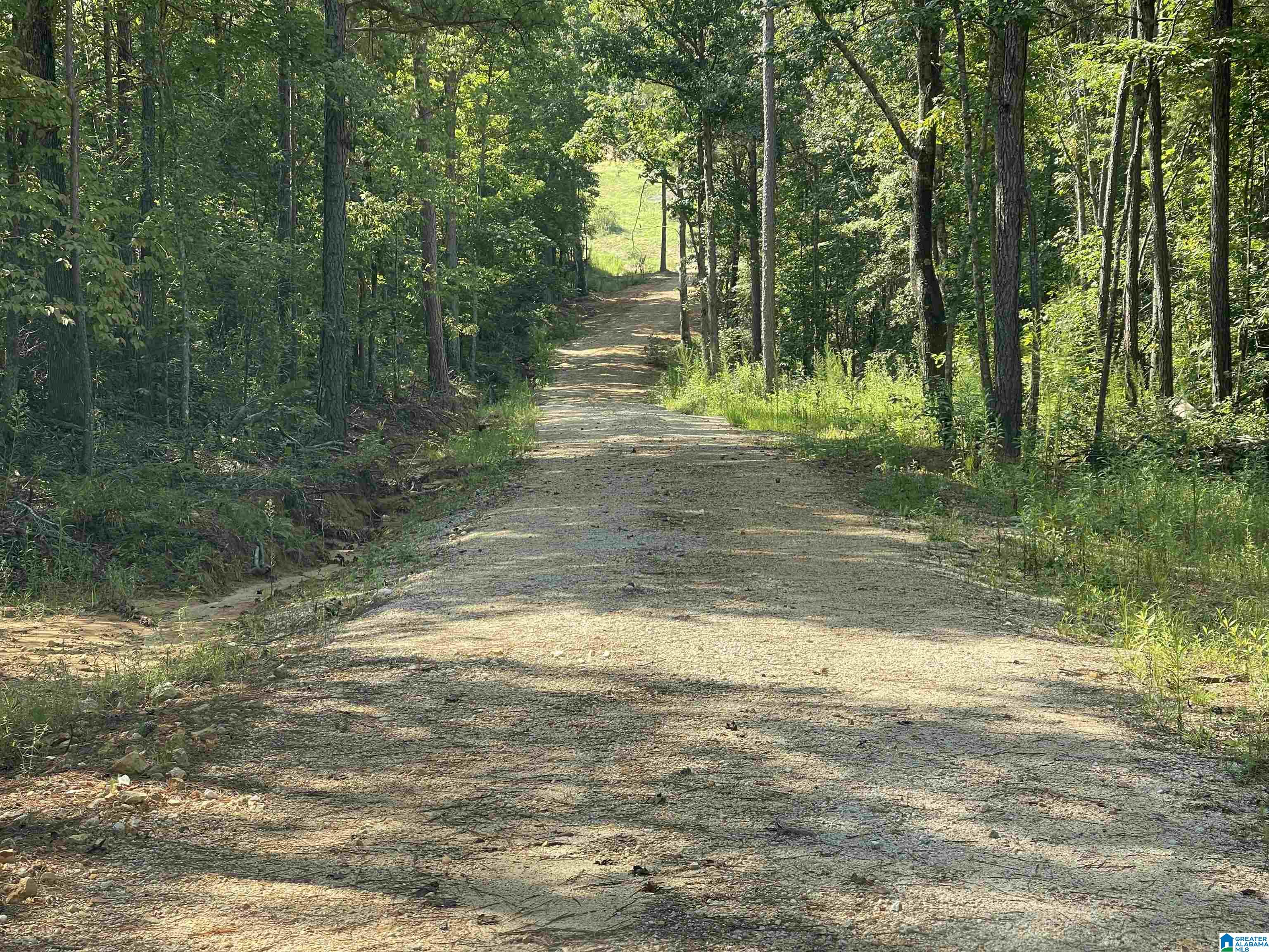 0 Benefield Gap Road Piedmont, AL 36272 - Photo 4 of 24