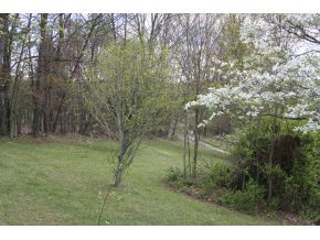 16528 Mountain Spring Road Abingdon, VA 24210 - Photo 22 of 24 backyard area