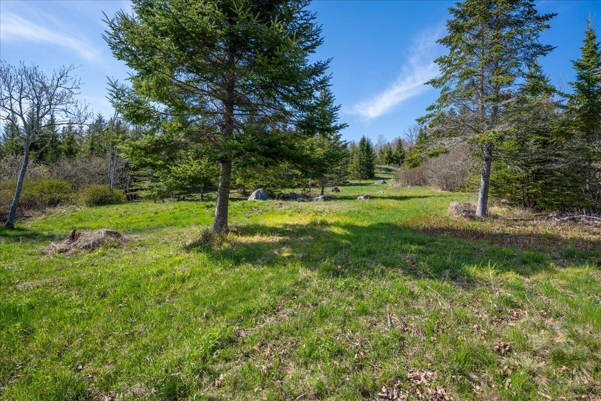 M17-l15 Perkins Street Castine, ME 04421 - Photo 11 of 21 34-Perkins St. (7 of 18)