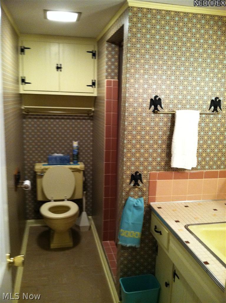 1123 Haverston Road Lyndhurst, OH 44124 - Photo 14 of 14 Full Bathroom in basement.