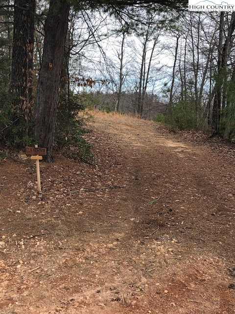 1 Elk Horn Road Ferguson, NC 28624 - Photo 3 of 6 Gallery Image 3