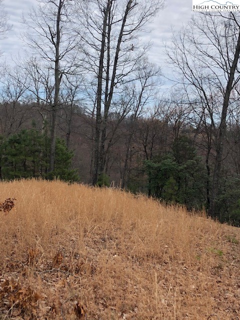 1 Elk Horn Road Ferguson, NC 28624 - Photo 4 of 6 Gallery Image 4