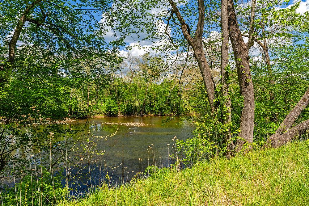 4439 Old Forge Road Luray, VA 22835 - Photo 59 of 101 Shenandoah River Frontage
