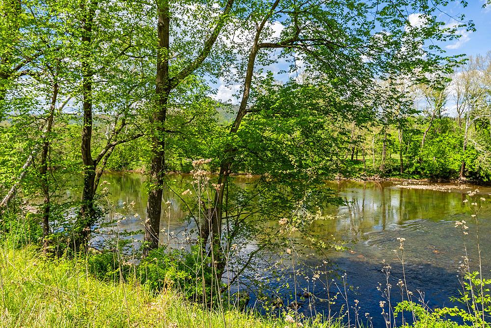 4439 Old Forge Road Luray, VA 22835 - Photo 61 of 101 Shenandoah River Frontage