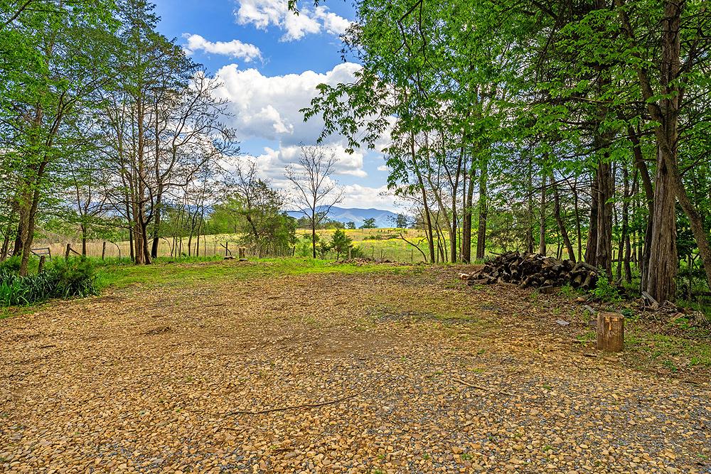 4439 Old Forge Road Luray, VA 22835 - Photo 62 of 101 Blue Ridge View from parking court