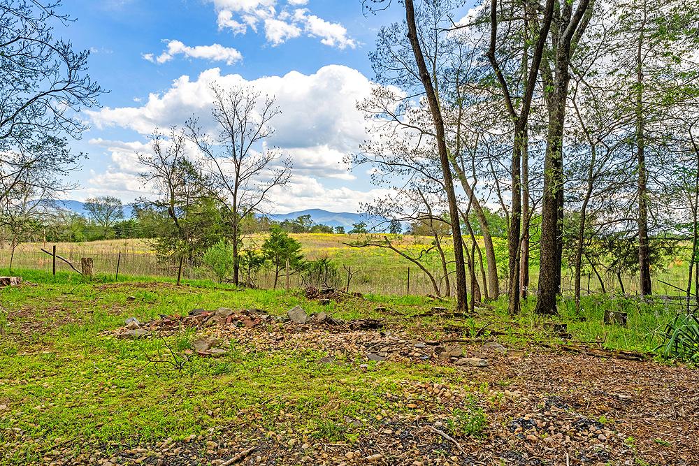 4439 Old Forge Road Luray, VA 22835 - Photo 63 of 101 Blue Ridge Mountains from Property