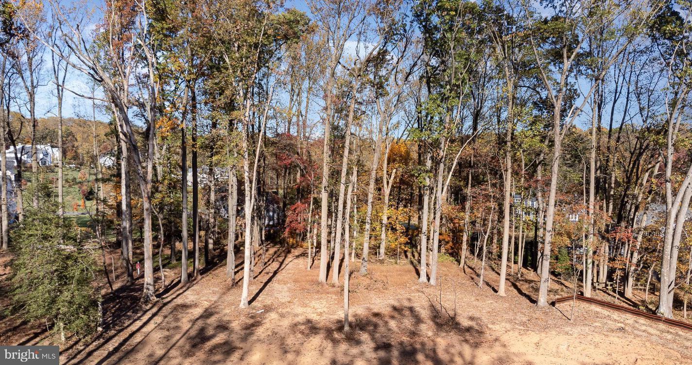 1709 B Laurel Brook Road Fallston, MD 21047 - Photo 79 of 83 View of Lot