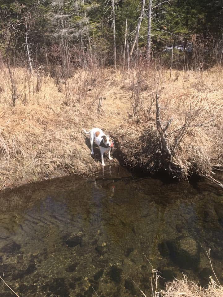 126 Downing Road Topsham, VT 05076 - Photo 3 of 11