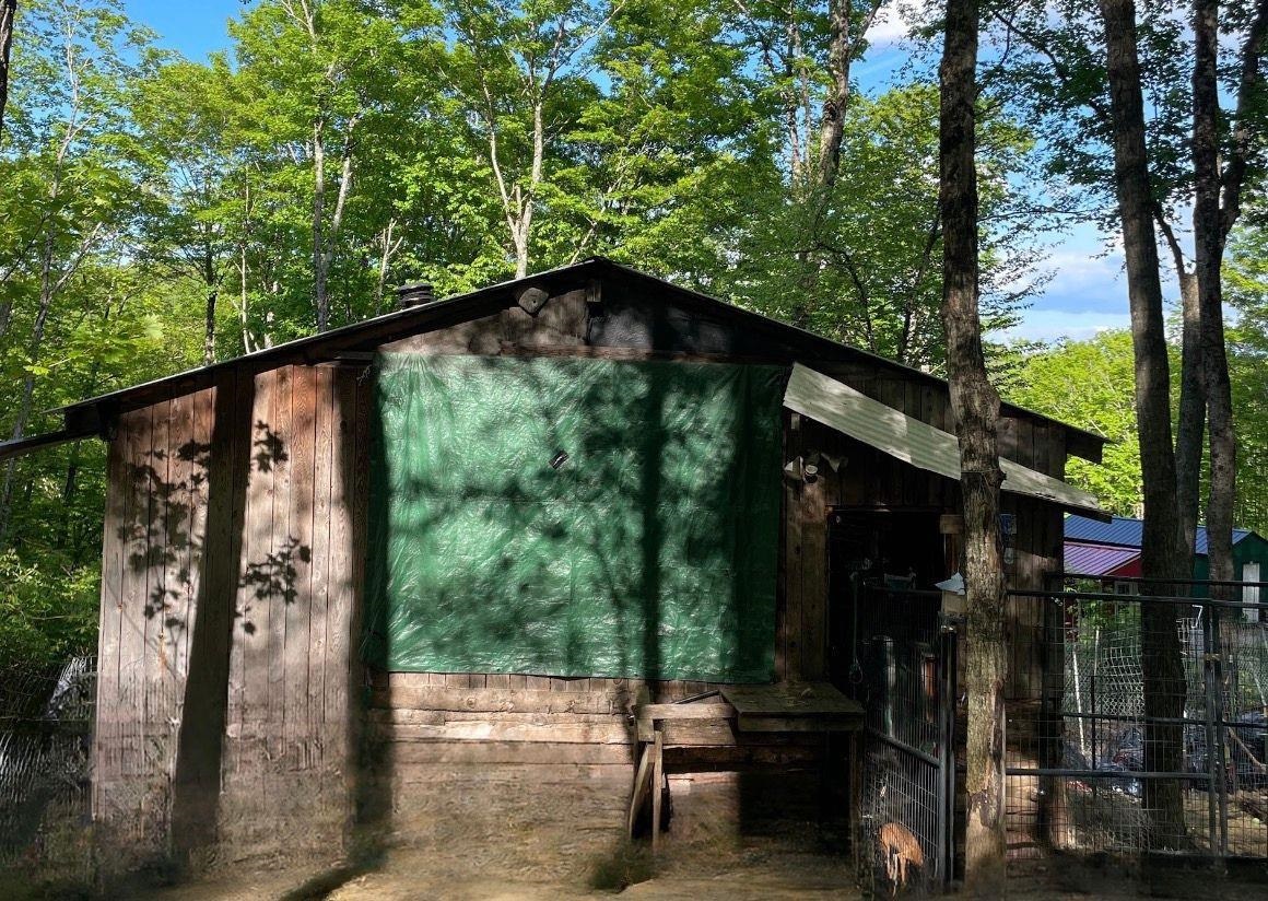 126 Downing Road Topsham, VT 05076 - Photo 7 of 11