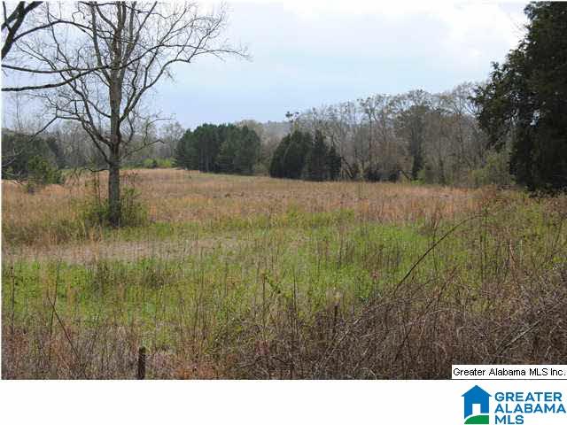 1637 Providence Road Talladega, AL 35160 - Photo 6 of 13