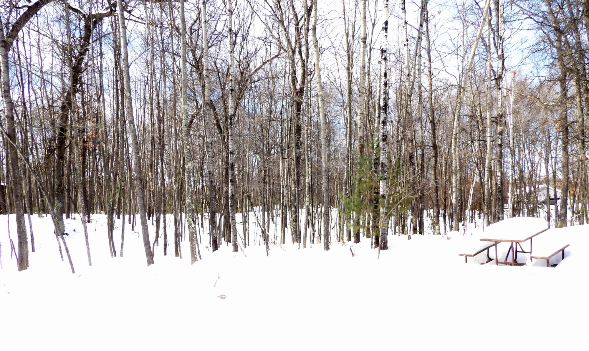 4221 Big Pike Place, Unit 4 Rhinelander, WI 54501 - Photo 11 of 18 Gallery Image 11