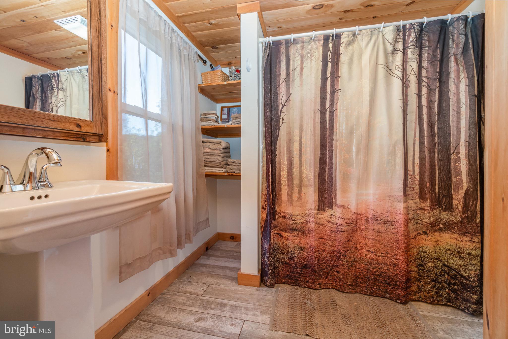 1180 Campbell Hollow Road East Waterford, PA 17021 - Photo 10 of 51 a bathroom with a sink and a mirror