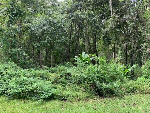 0 Ridgewood Road Boutte, LA 70039 - Photo 3 of 3