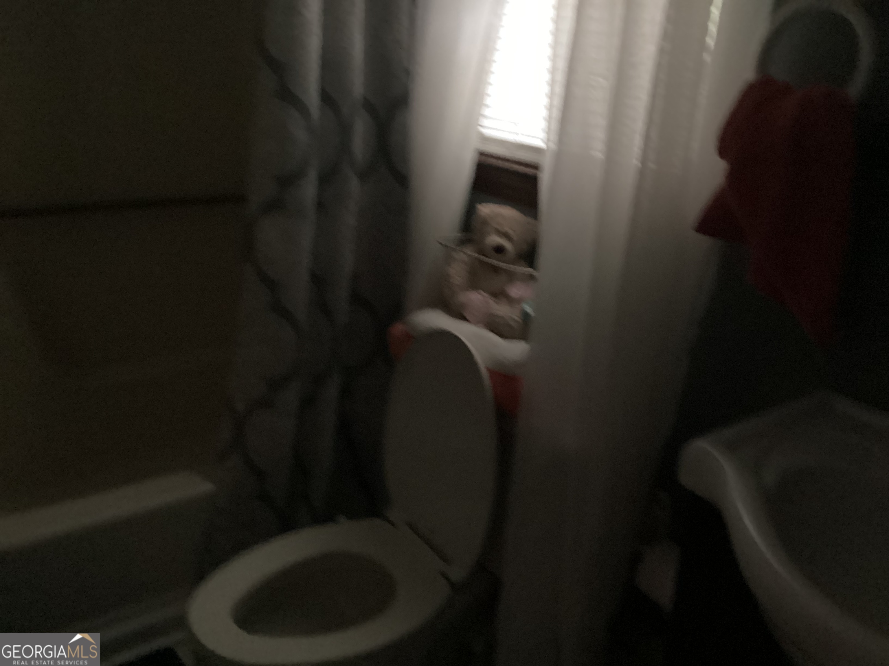 1497 Stonington Court Villa Rica, GA 30180 - Photo 8 of 10 a bathroom with a toilet