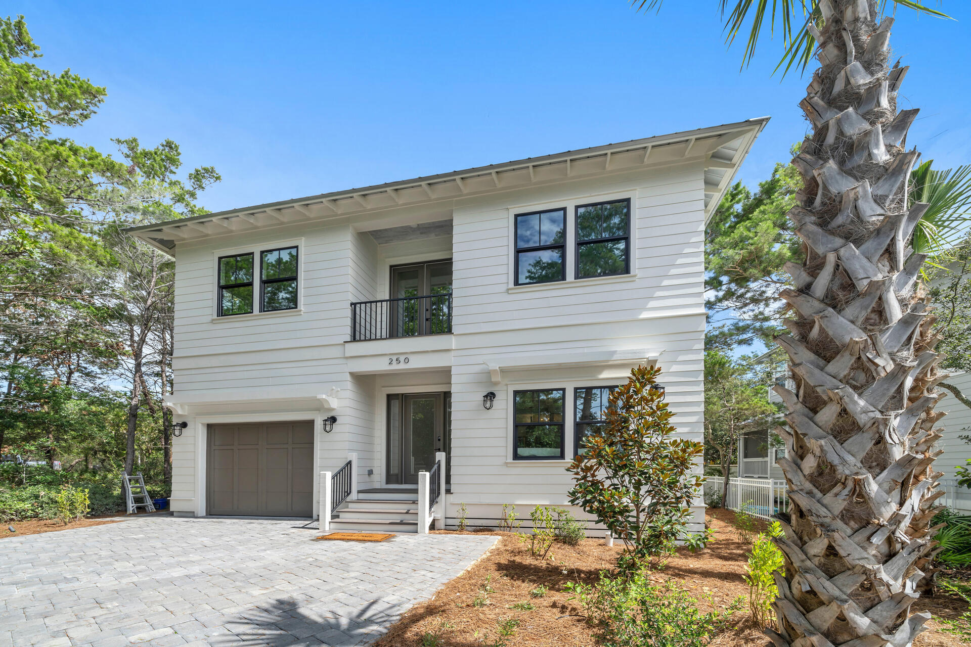 250 Grande Pointe Cir Inlet Beach Inlet Beach, FL 32461 - Photo 3 of 48 a front view of a house with garden